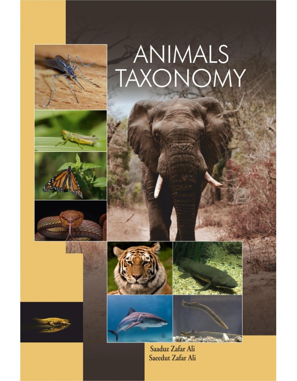 Animals Taxonomy